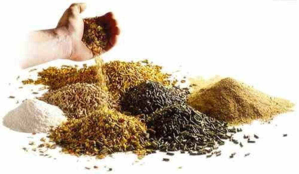 Feed Premix Market Anticipated To Grow at 3.7% CAGR And Surpass $31 Billion By 2028